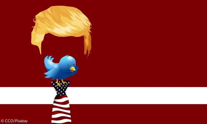 Eine blonde Perücke, die an Trumps Frisur erinnert