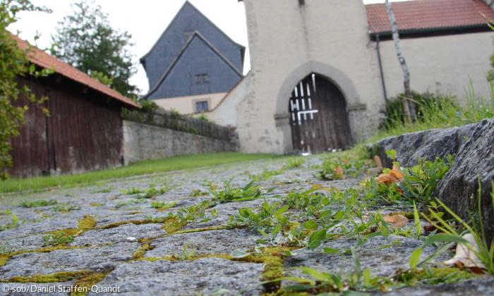Kirchenburg in Serrfeld