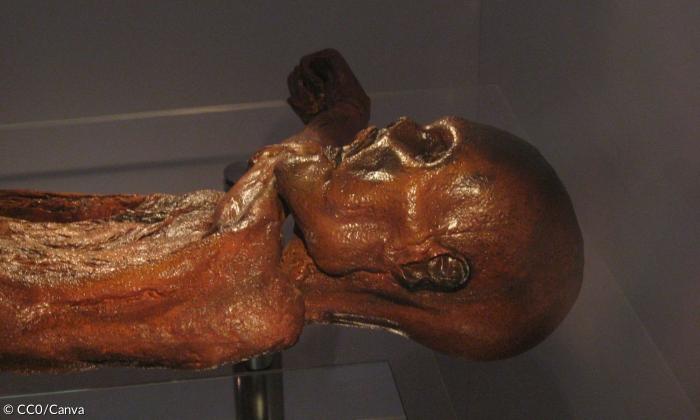 Die Mumie von Ötzi
