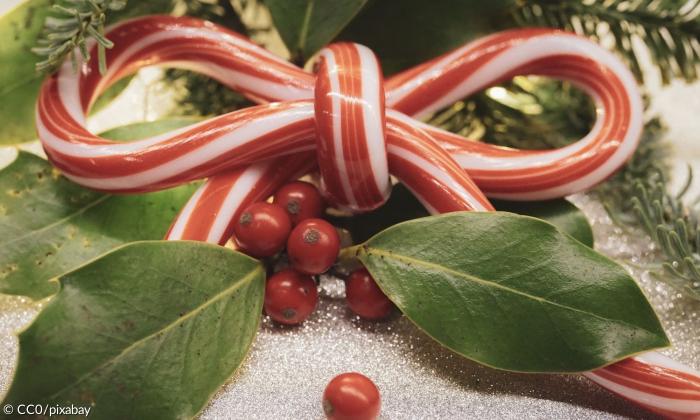Eine Zuckerstange in Form einer Schleife, umgeben von Lorbeerblättern, Glitzer und Beeren. 
