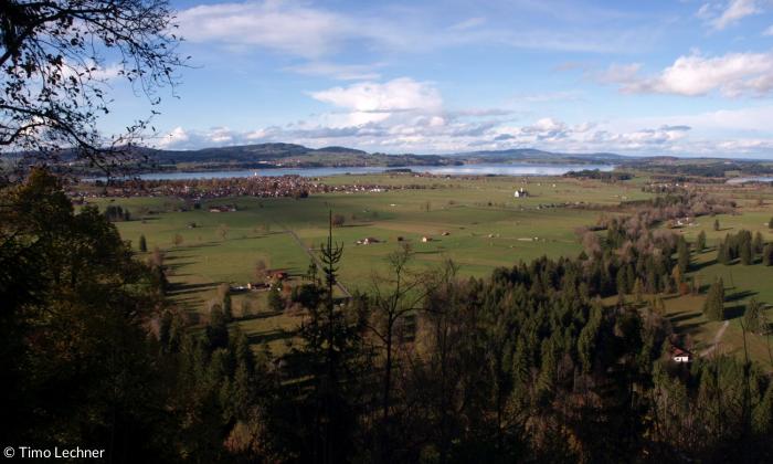 Forggensee