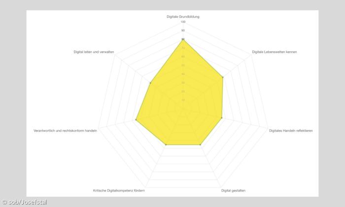 Digitale Kompetenzen Schaubild