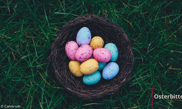 Ein Nest mit bunten Eiern auf einer Wiese