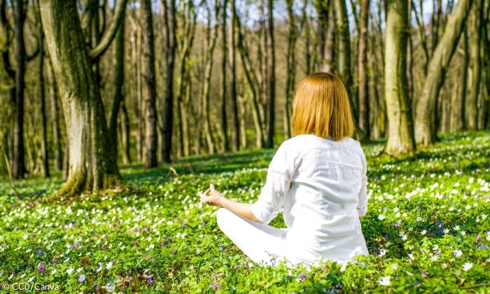 Eine Frau sitzt inmitten eines Blumenfelds im Wald.