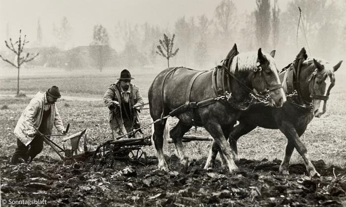 Hans-Rainer Fechter: Landarbeit