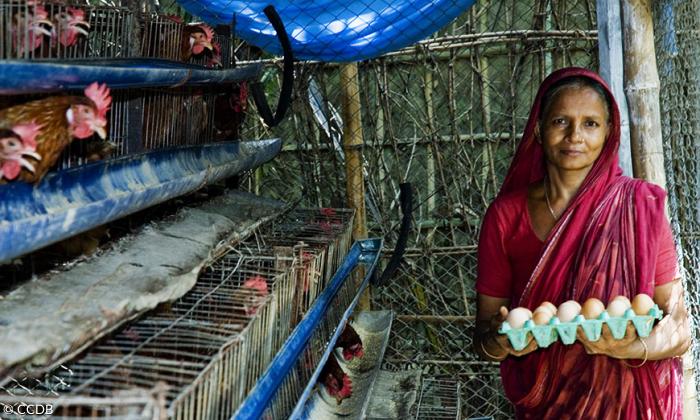 Landwirtschaft in Bangladesh
