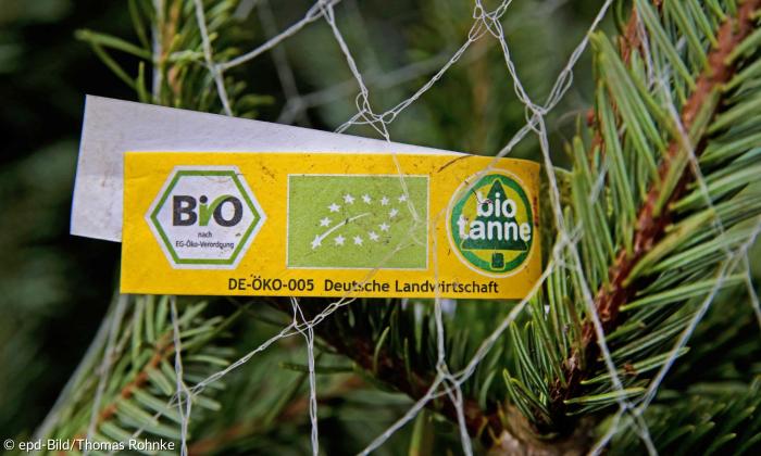 Eine Bio-Tanne