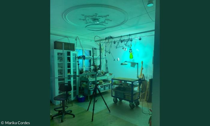 Stuck an der Decke, Werkzeug, Regale, Lampen strahlen eine frisch lackierte Geige an.