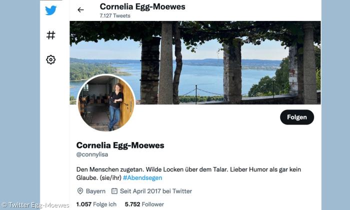 Twitter Egg-Moewes