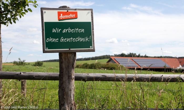 Ein Bio-Bauernhof