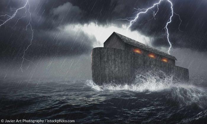 Arche Noah