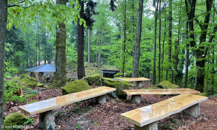 Wald