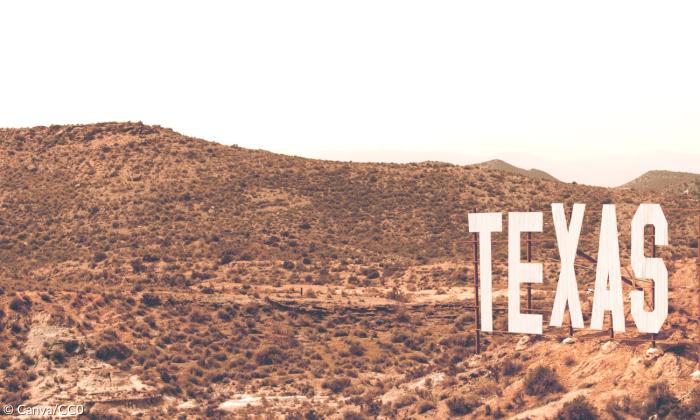 Man sieht einen großen Sandberg, der sich über das ganz Bild zieht. Er ist nicht besonders hoch. Auf ihm wächst viel trockenes Gestrüpp. Rechts im Bild steht in großen dreidimensionalen Buchstaben "TEXAS"