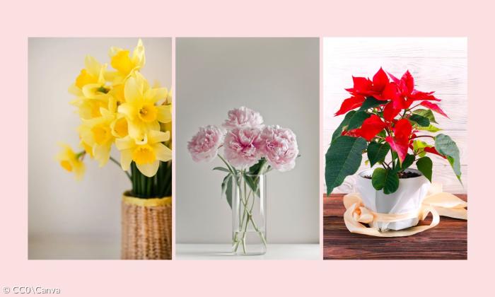 Blumen Trinität