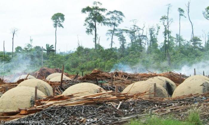 Holzkohle Herstellung Brasilien