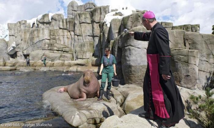 Tiere der Bibel