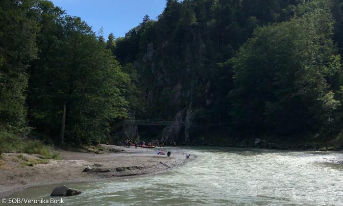Tiroler Ache
