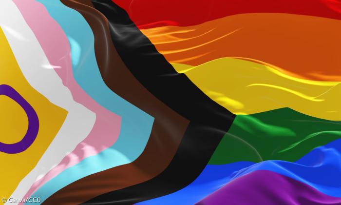 Die neue Version der Progress Flag