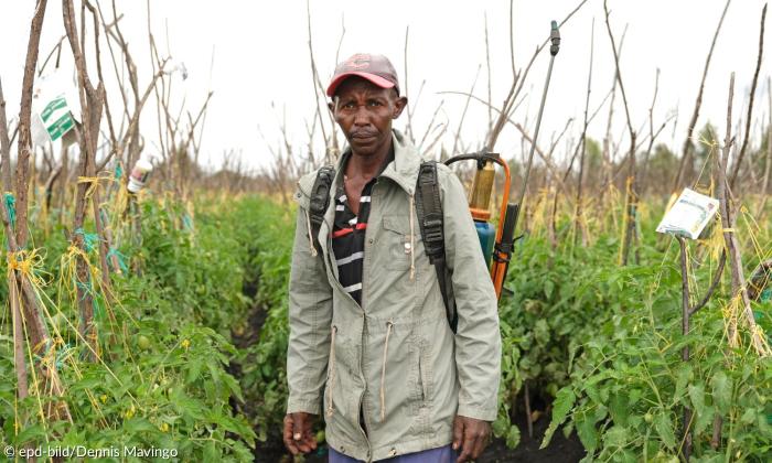 Fabian Kamau auf einem Feld in Mwea, nördlich von Kenias Hauptstadt Nairobi.