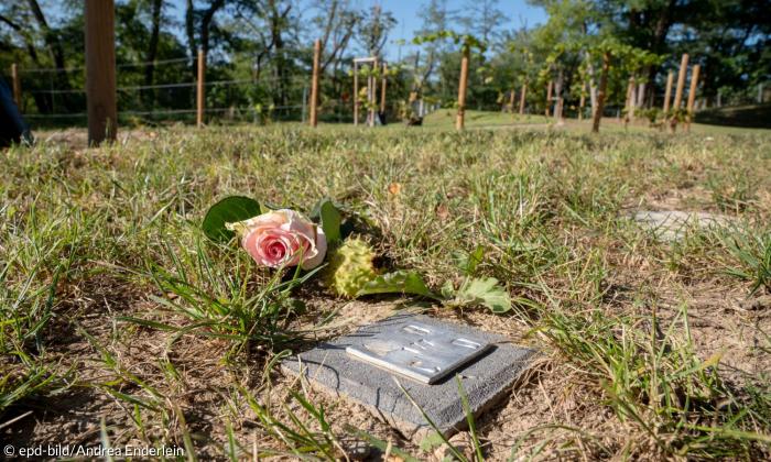 Ein Grabstein und eine Rose