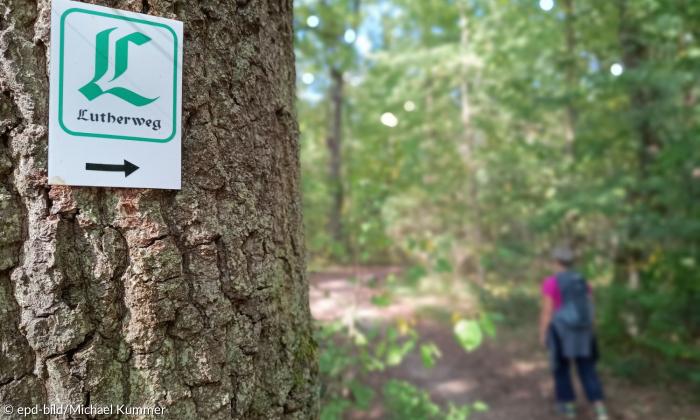 Ein Schild "Lutherweg" an einem Baum