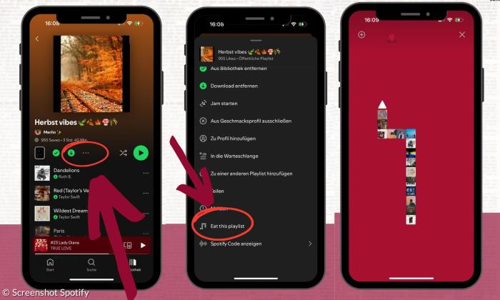 Anleitung für Spotify