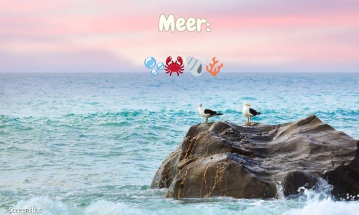 Das Meer, ein paar Möwen, dazu Emojis