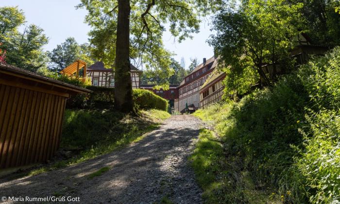 Ein Weg führt an Wiesen entlang in einen Ort