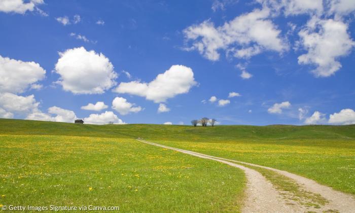 Grüne Wiese mit blauem Himmel und ein paar Wolken