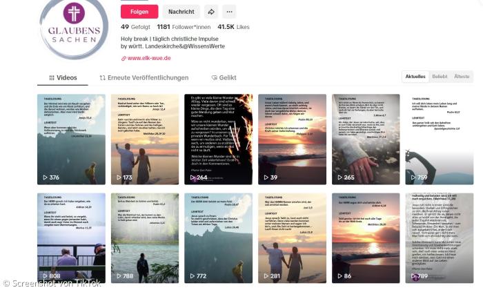 Der TikTok-Account der ELKWÜ