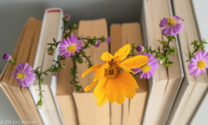 Bücher aufgestellt mit Blumen drauf