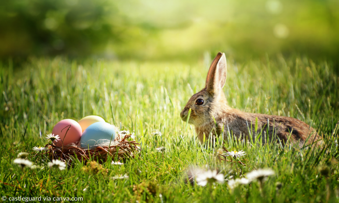Ostereierkorb und Osterhase im Grünen