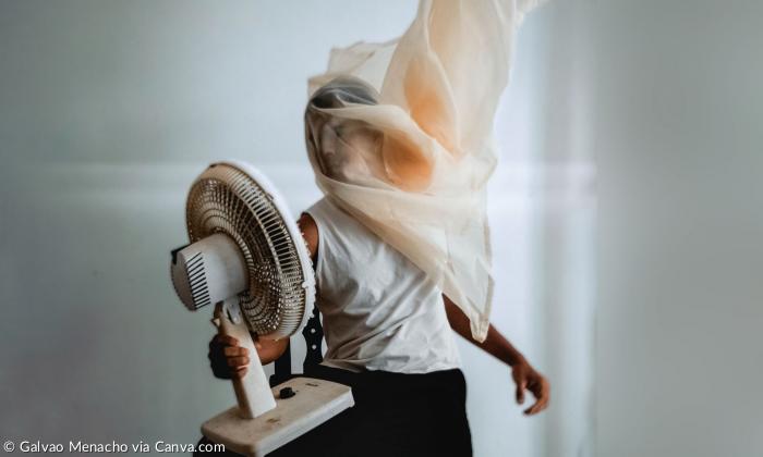 Ventilator