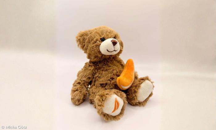 Ein Teddybär