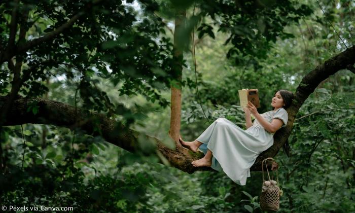 Eine Frau liegt auf einem Baum und liest ein Buch