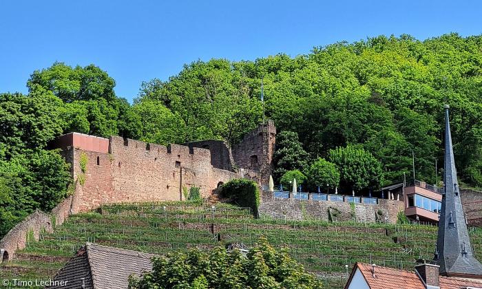 Blick auf die Clingeburg