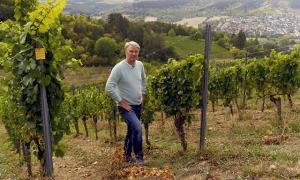 Bayerische Landwirtschaft im Wandel: Genuss trotz Klimawandel | Lebensformen