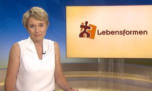 Berufswechsel im Wandel: Vielfalt statt Einheitsbrei | Lebensformen