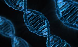 DNA-Sequenz