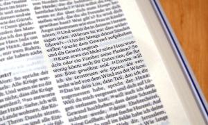 »Kann etwa ein Mohr seine Haut wandeln oder ein Panther seine Flecken?« - Bei der Übersetzung von Jeremia 13,23 ging es den Revisoren des Luthertextes darum, das hebräische Sprachbild plausibel wiederzugeben. 