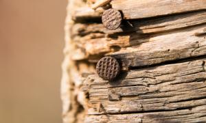 Holz Nägel