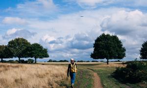 Pilgern Wandern Laufen Pilgerweg Bäume Wegesrand Himmel