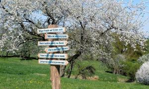 Friedensweg am Kappelbuck 