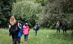 Im Gänsemarsch in den Wald.