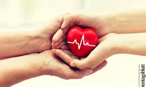 Organspende
