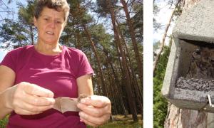 Offizielle Fledermaus-Betreuerin: Brigitte Schütze