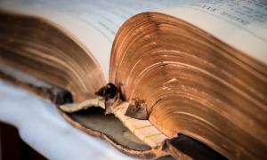 aufgeschlagene Bibel