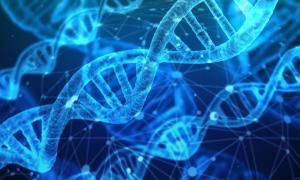 DNA Stränge