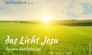 Quellentext Teilhard de Chardin
