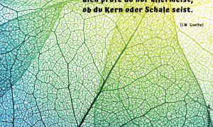 quellentext naturmystik
